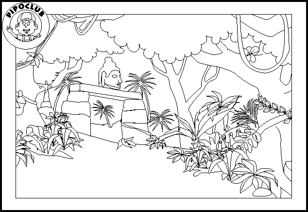 Selva