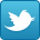 follow us